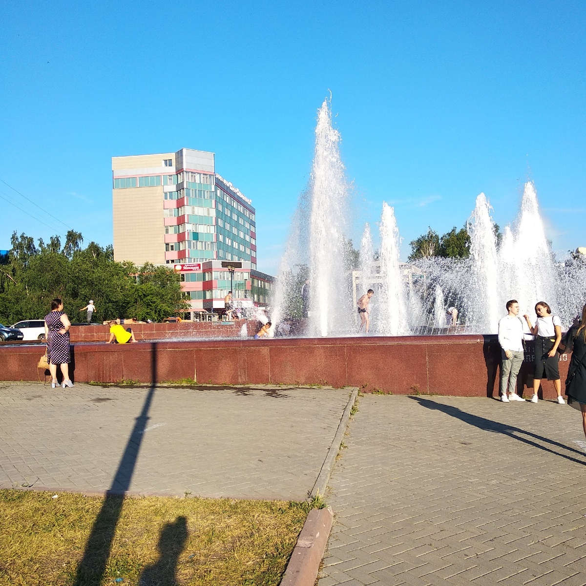 Моржи и котики в естественной среде.