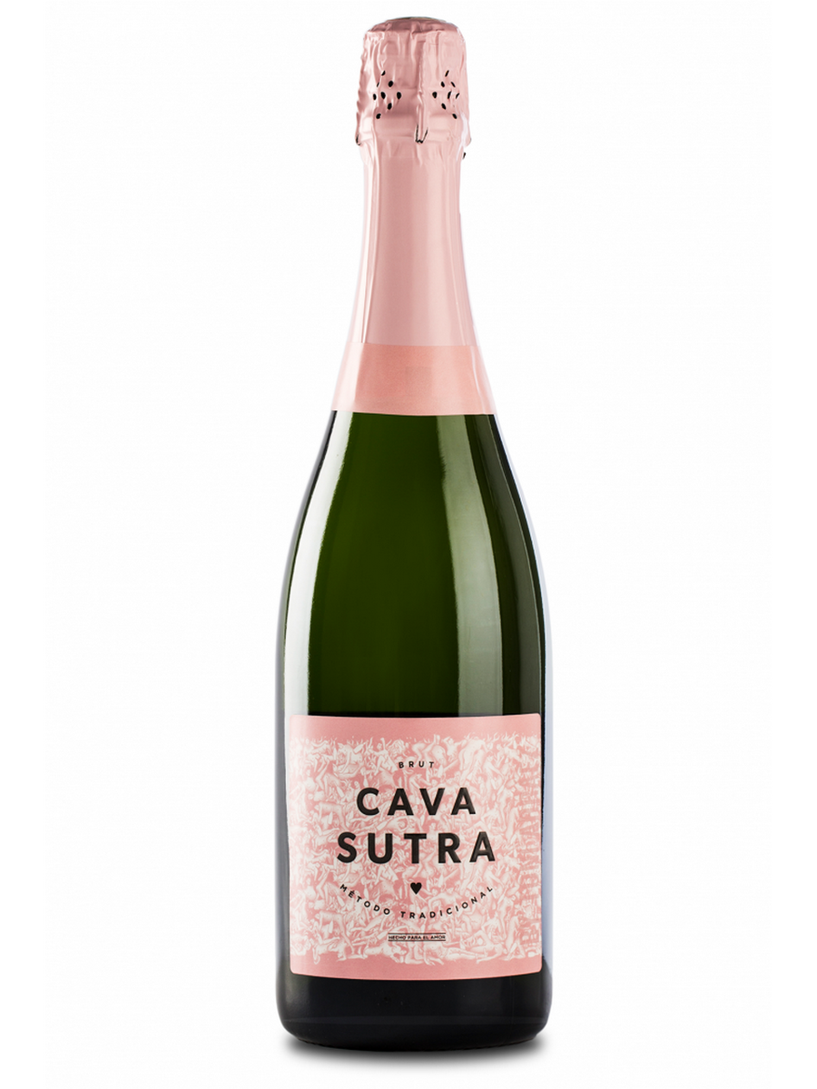 Вино брют испания. Вино игристое Jaume Serra кава. Шампанское Испания Cava. Вино игристое Cava Brut. Игристое вино Jaume Serra, Arte Latino Cava seco 0,75 л.