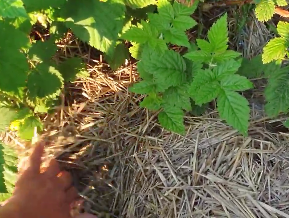 Фото из личного архива автора