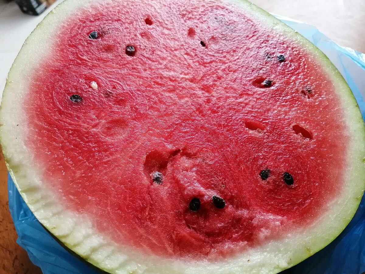 Арбуз в июле