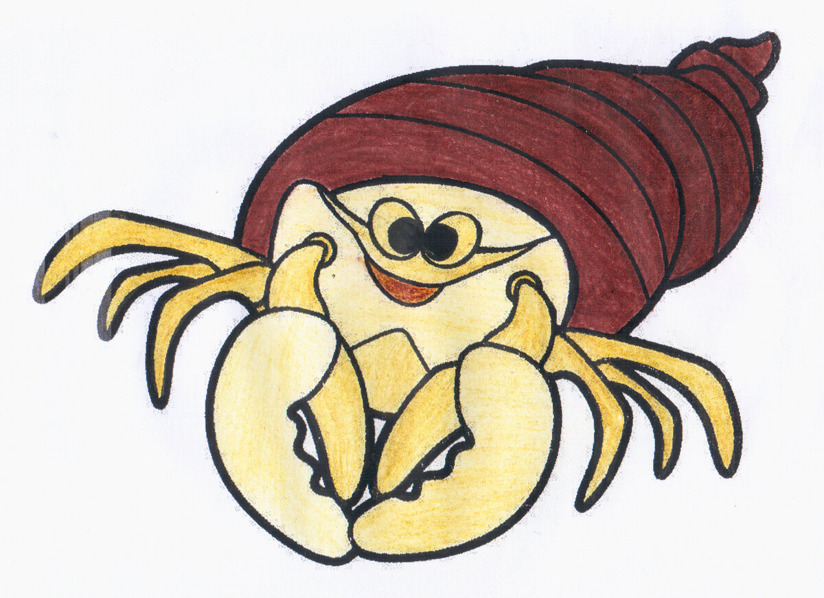 Это рак-отшельник Жак, он ищет себе новую раковину