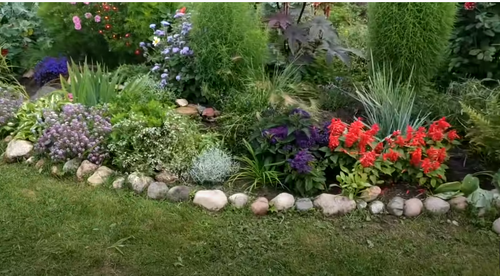 ленивая клумба