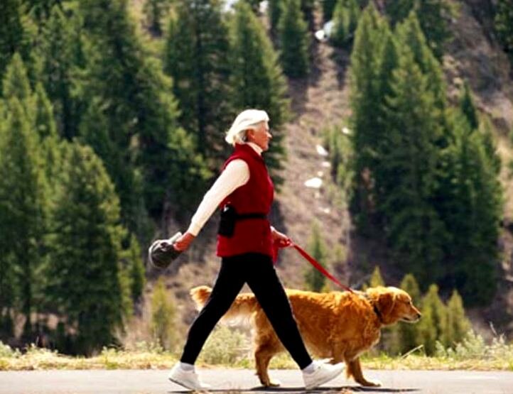 Взято из открытых источников