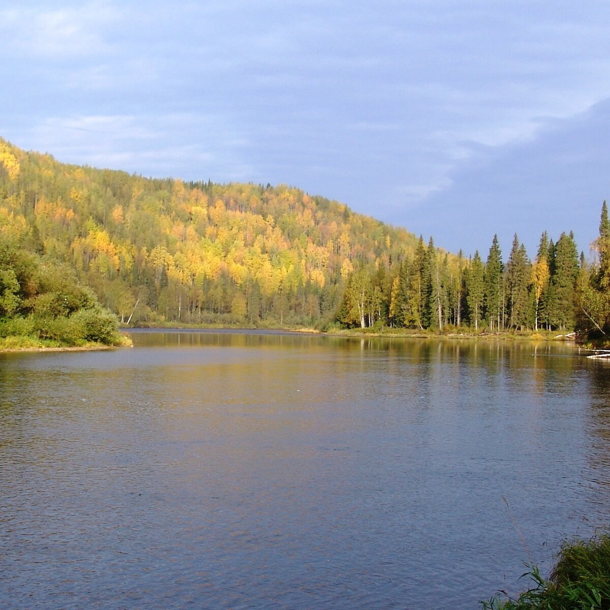 мало примечательная ландшафтами тайга богаче соболем (фото автора)
