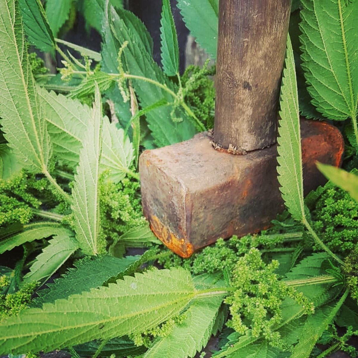 (С) Зелимхан Евлоев