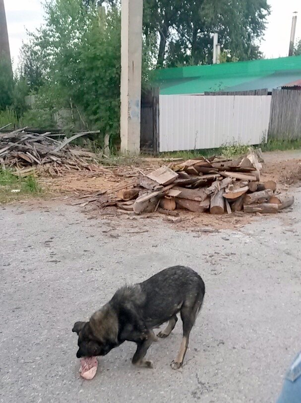 Лапка точно также загибается и в обратную сторону (((