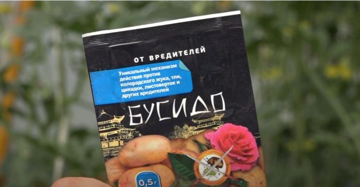Бусидо