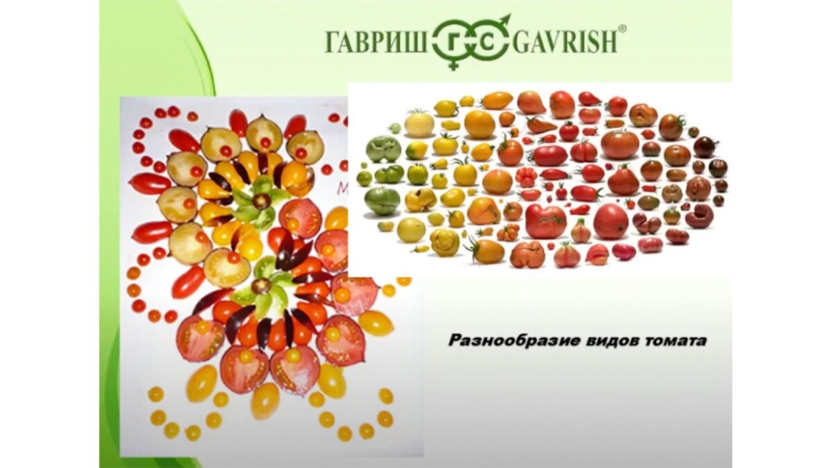  Фото:компания «Гавриш»
