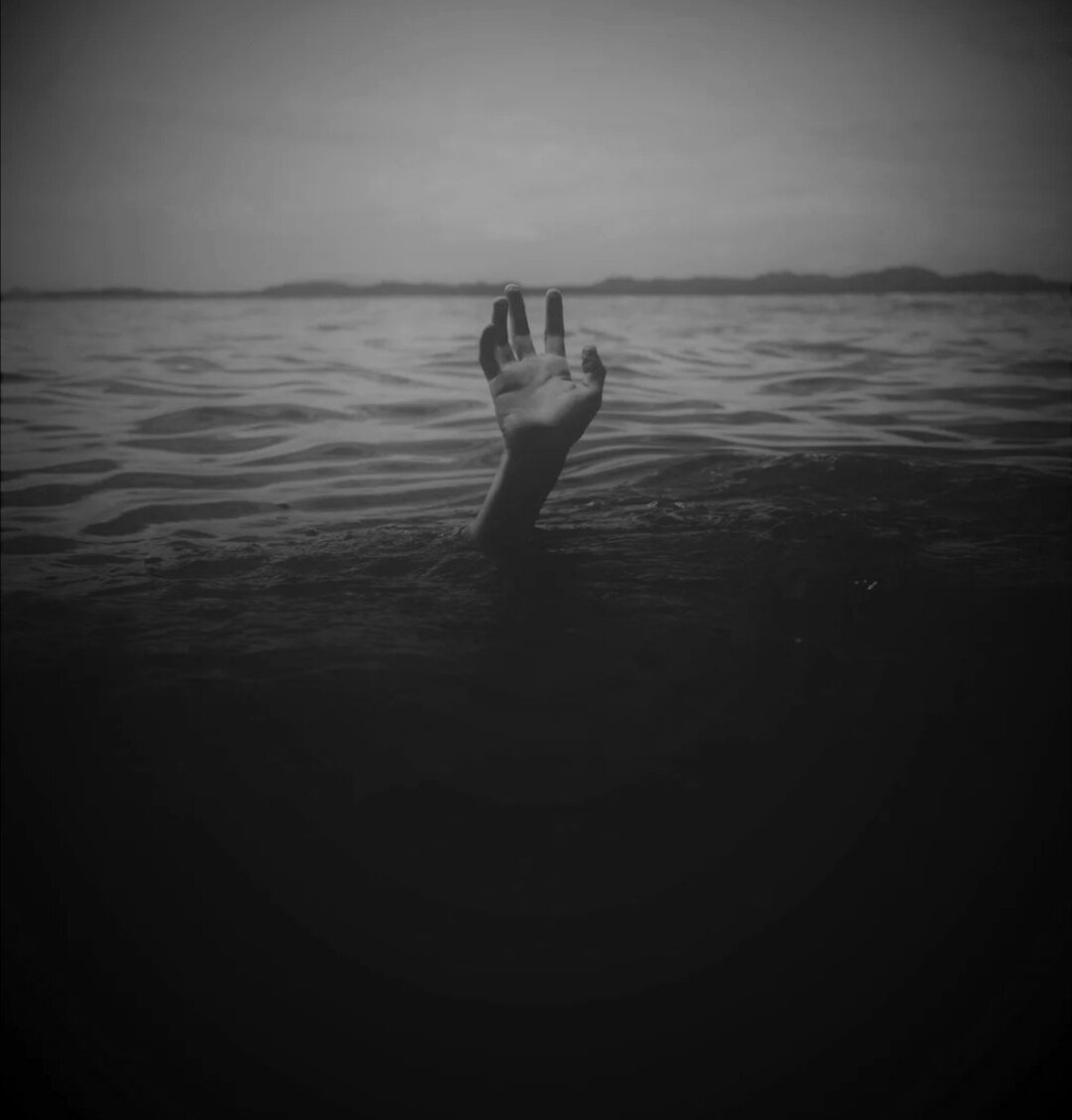 Изображение из открытых источников. 