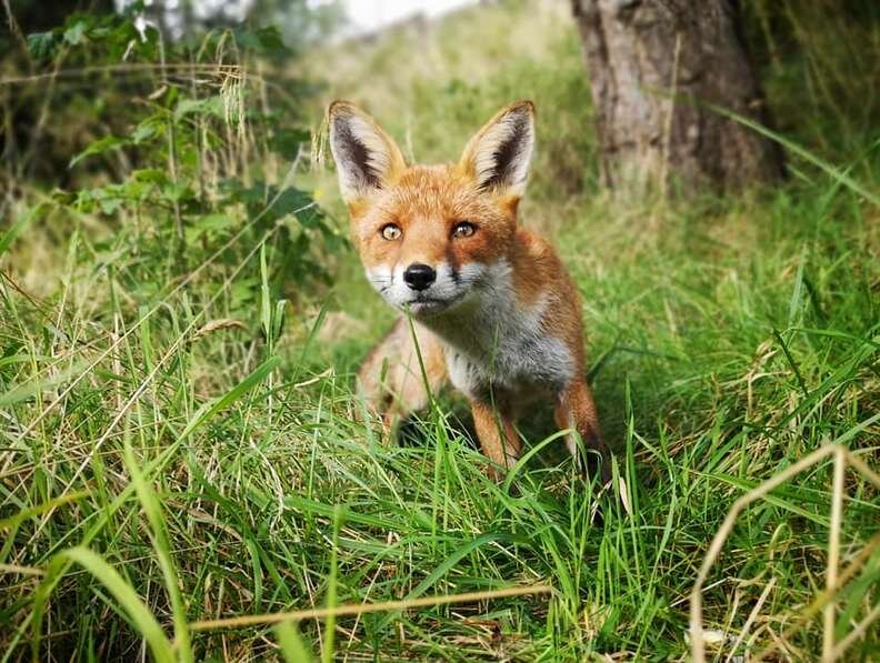 ДИЛАН ХОЛБОРН