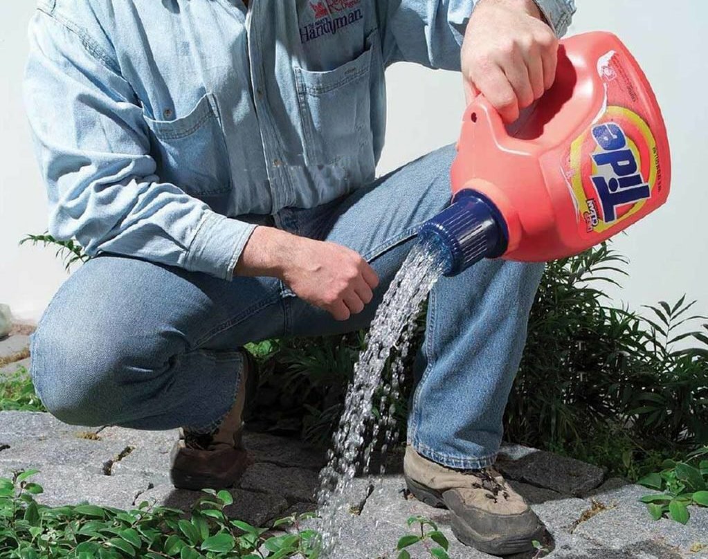 Ландшафт из камней. Скульптуры дэвида кноппа. Габионы в палисаднике. Грядки на даче. Нее можно использовать большие.