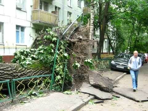 Яндекс картинки