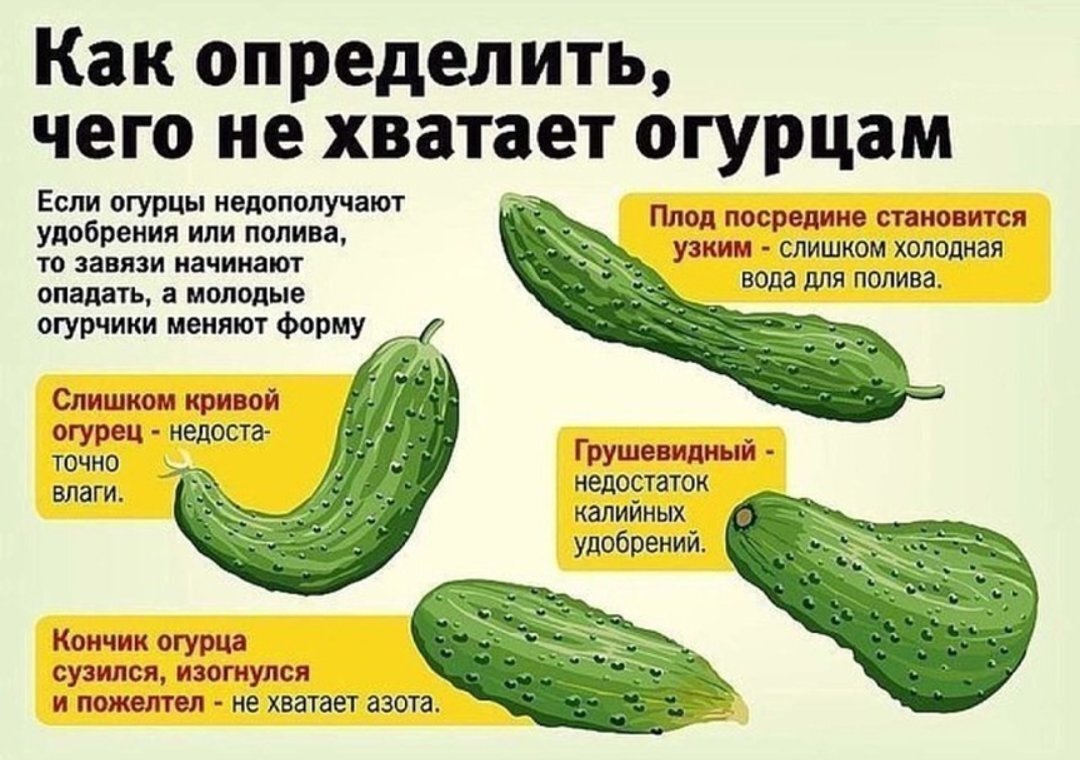 Картинка из Интернета.
