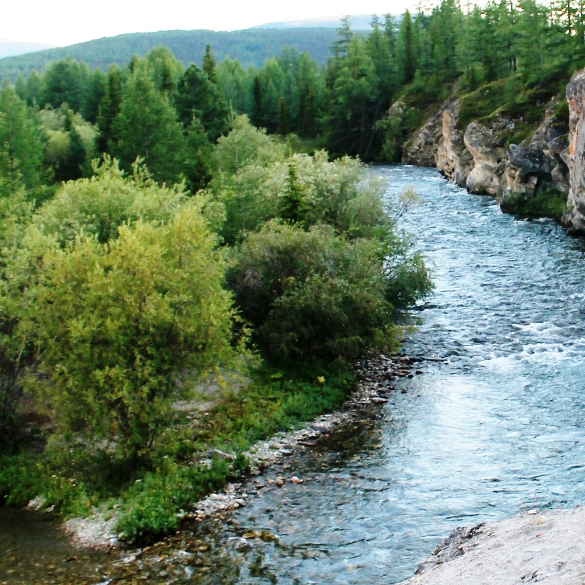 фото автора - тайга и река есть, теперь бы справедливости