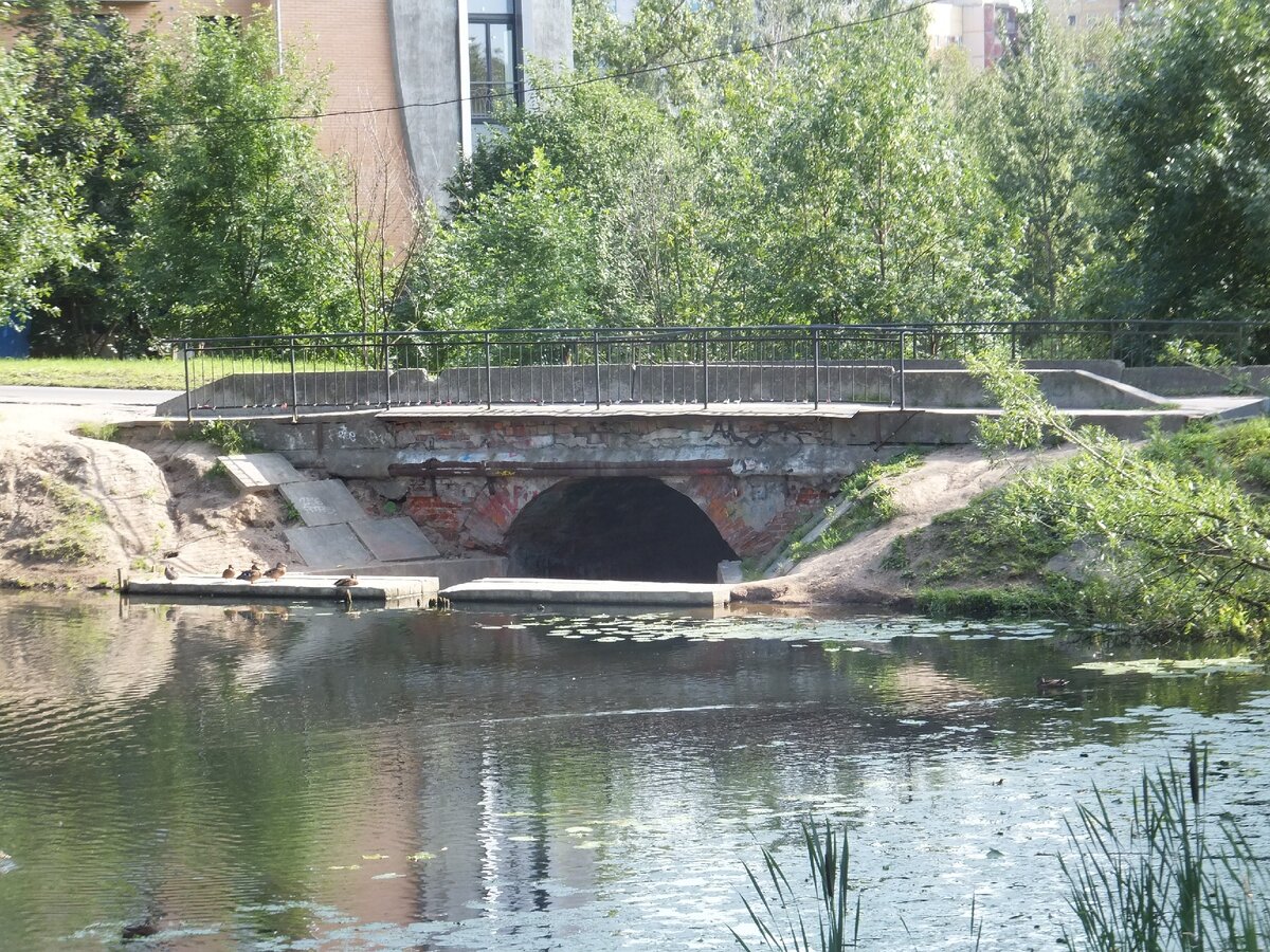Вид на Никитинскую плотину со стороны Графского пруда (верхний бьеф), лето 2017