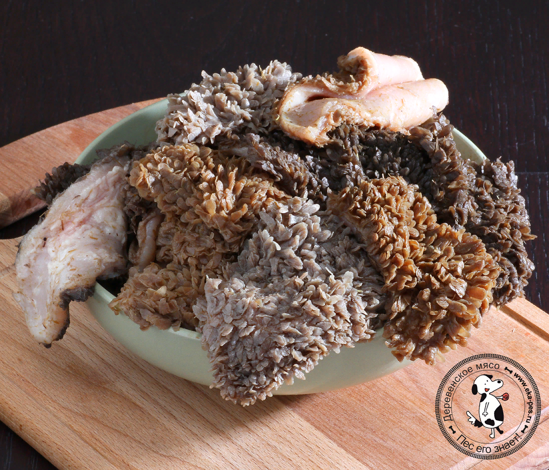 фото из открытого источника