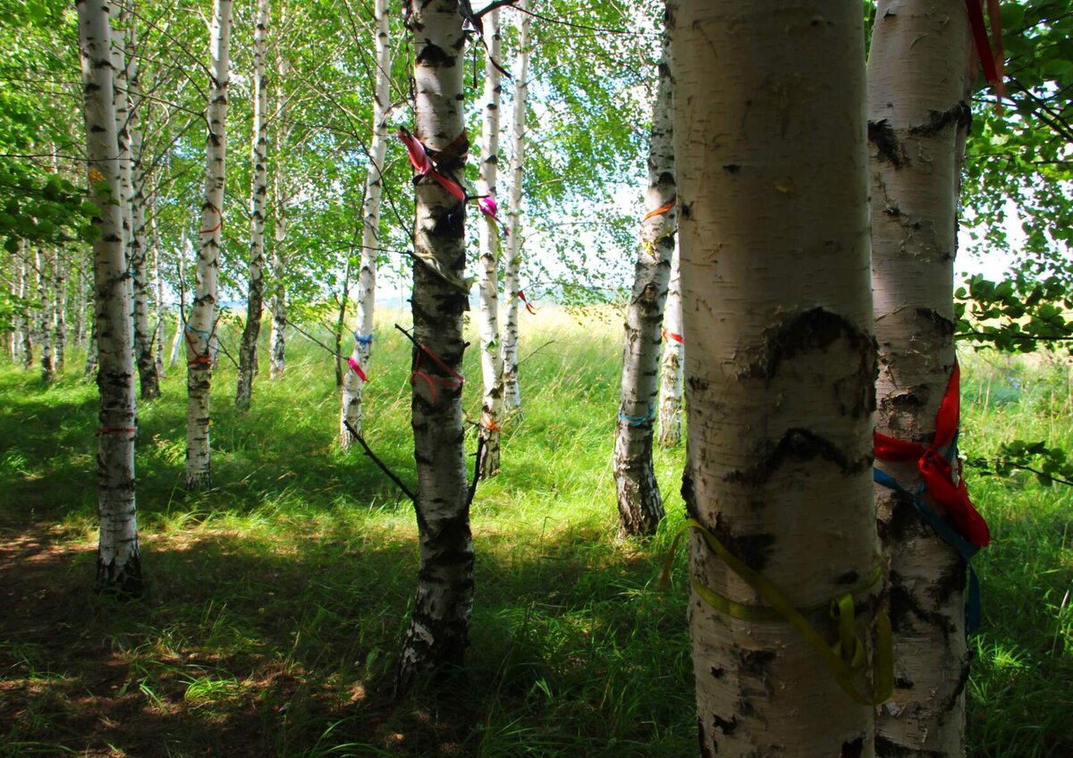 Фото Автора: Священная Роща рядом с Туринке Керем /Киремет/.