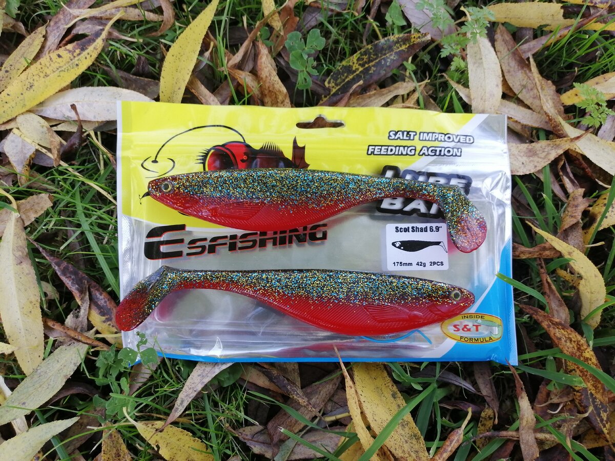 Scod Shad 6,9