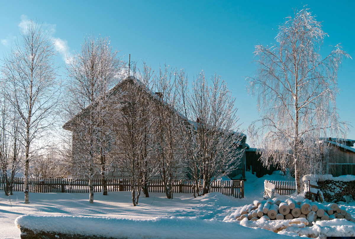 Павино костромская область. Павино (село, Костромская область). Костромская область зима. Костромская область деревня зимой. Зима в деревне.