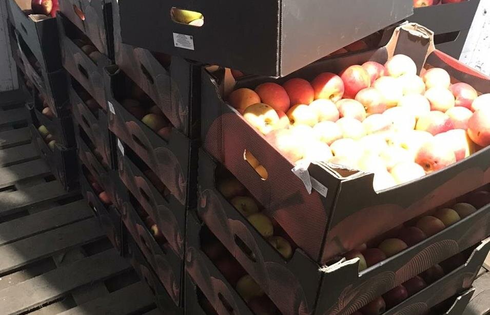 Фото – Россельхознадзор по Кировской области