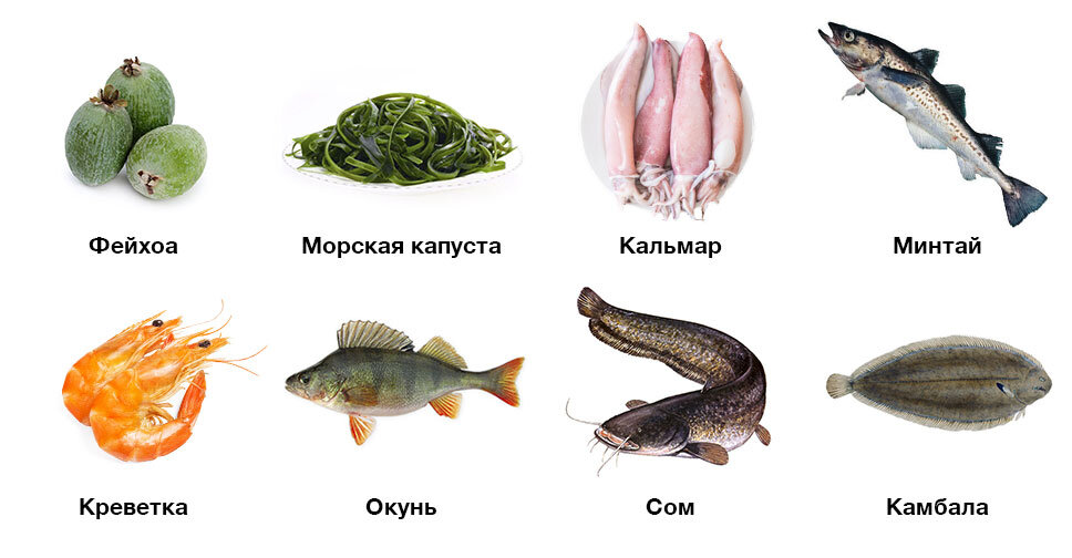 Продукты богатые йодом картинки