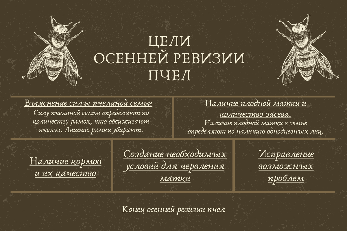 Осенняя ревизия пчел на пасеке. Инфографика.