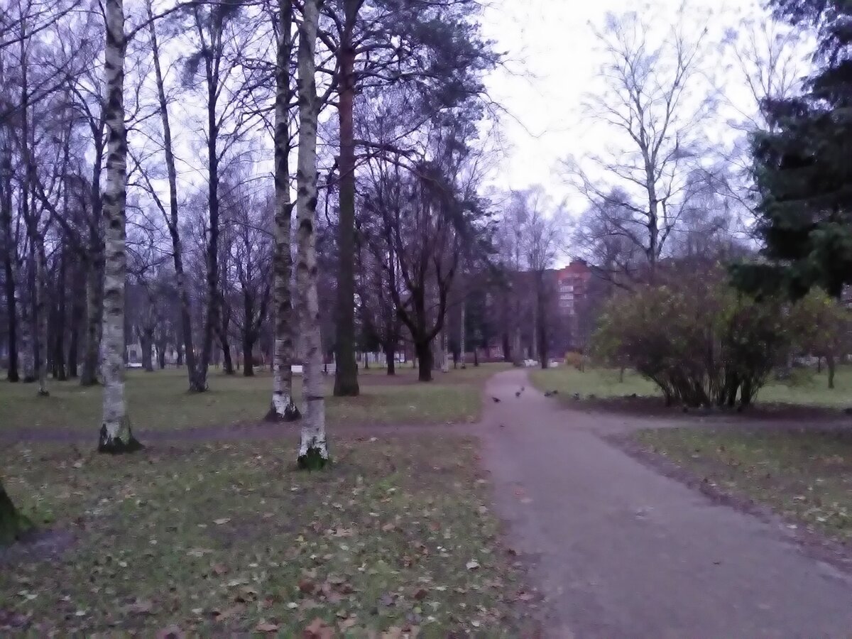 фото автора (прошу прощения за качество)