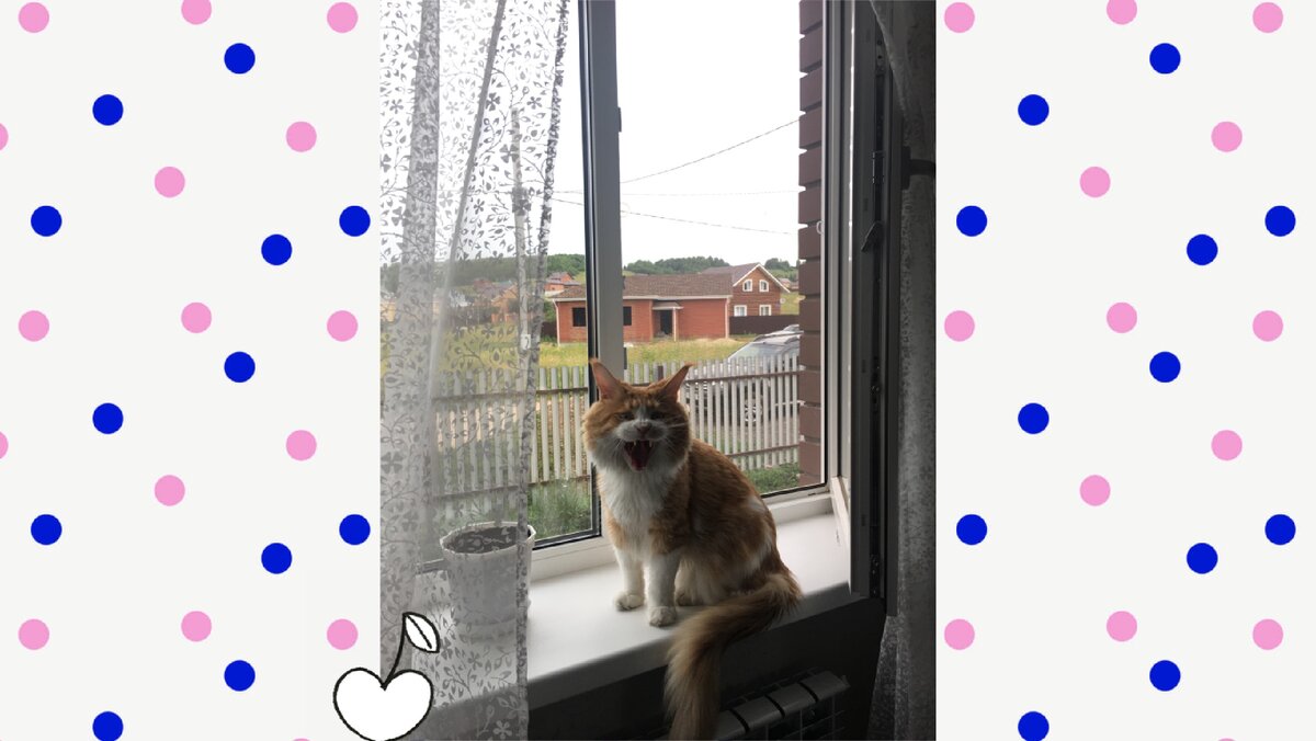 Подпишитесь на канал и поставьте лайк! Вы поможете развитию канала! Заранее благодарю!