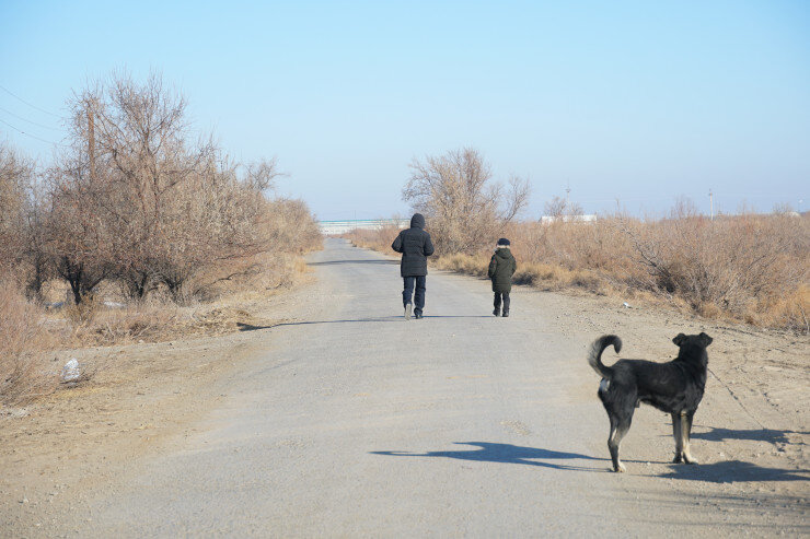 Вот по такой дороге школьникам приходится добираться до мест учебы. А там стаи собак и никакого освещения. Хорошо хоть сейчас карантин. Не надо в школу ходить. Кроме младшеклассников.