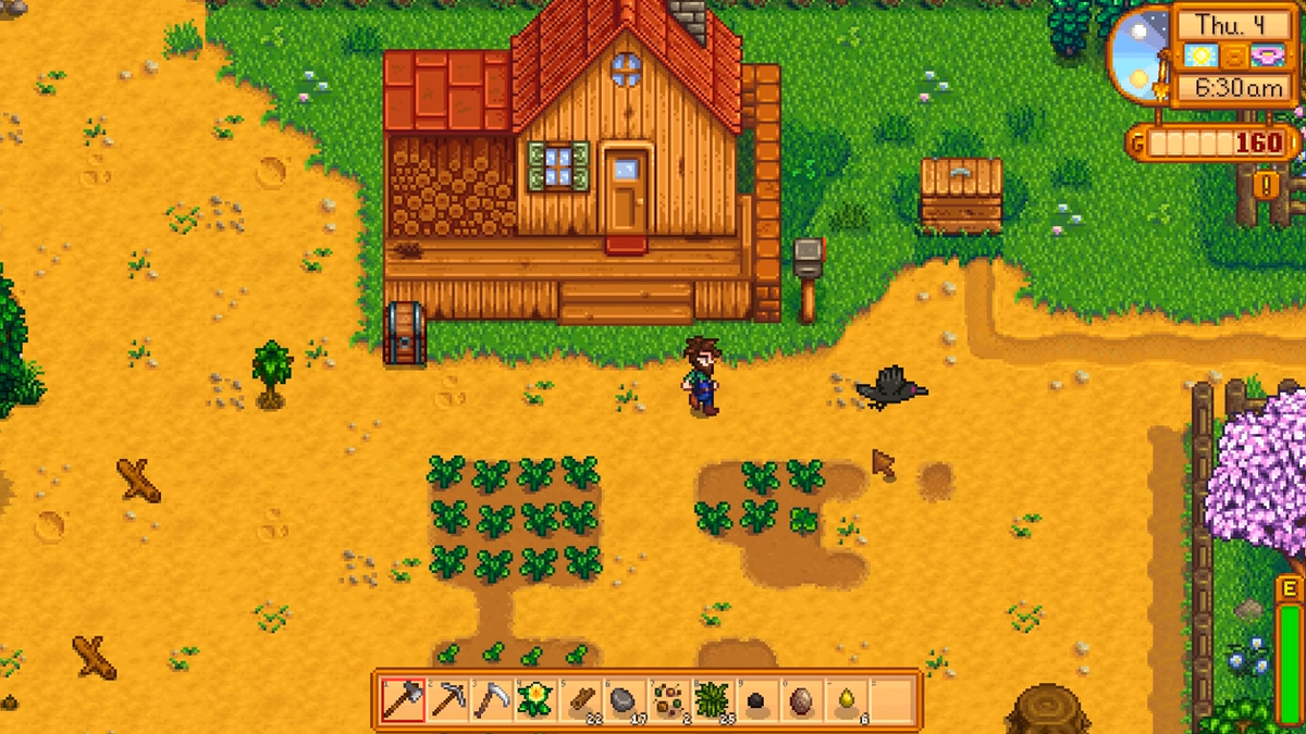 Stardew Valley