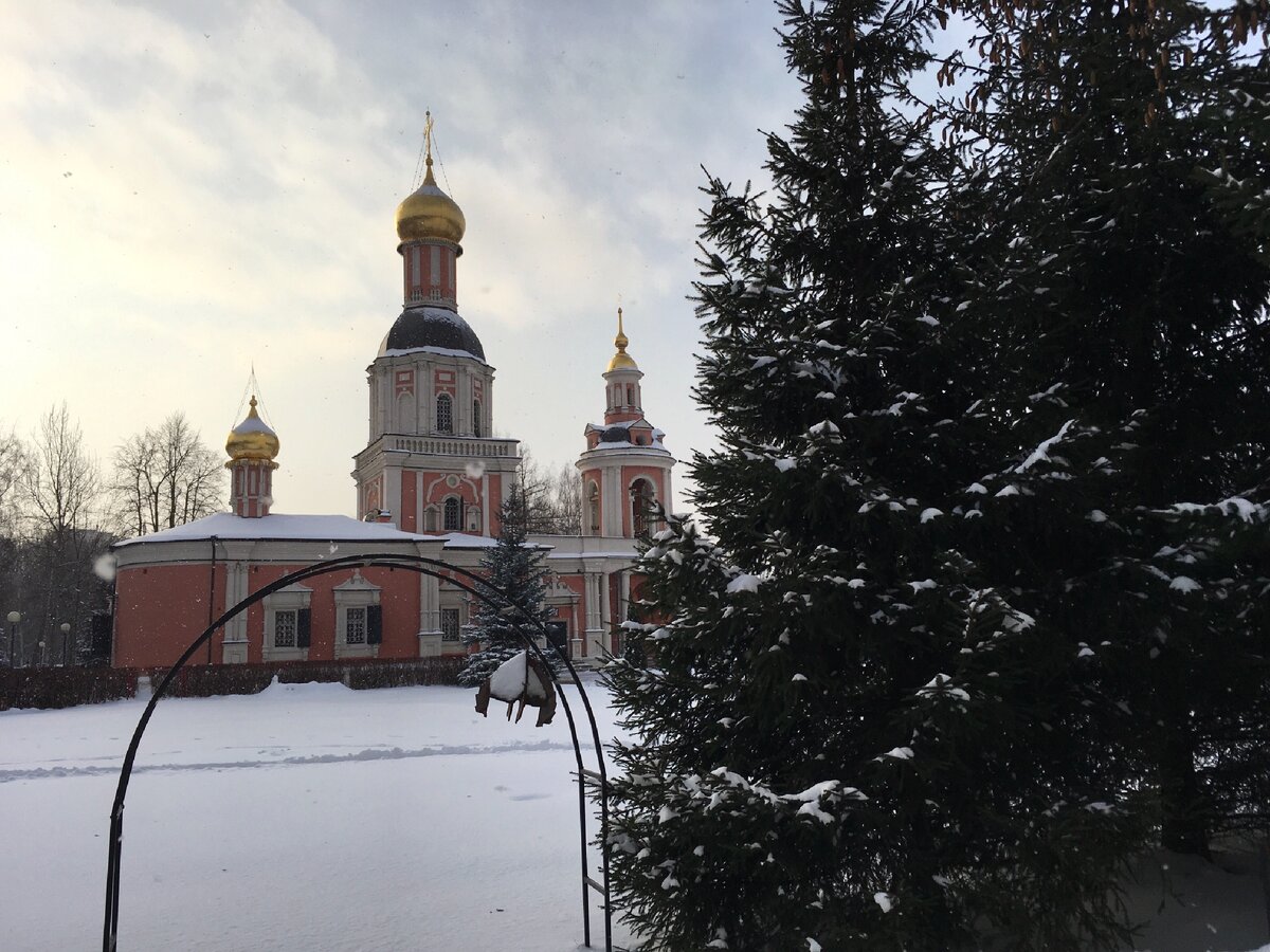 Усадьба Свиблово - отличное место для семейного отдыха в праздники и  выходные дни | Карта новых впечатлений | Дзен