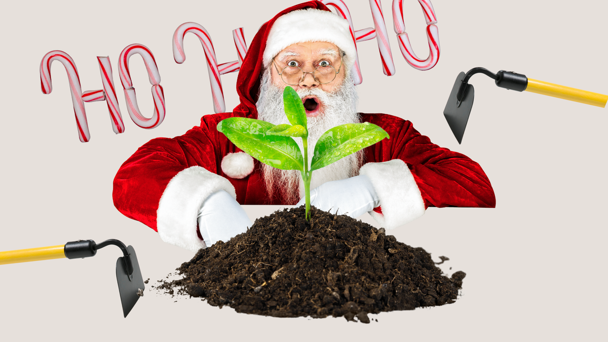 Коллаж автора 