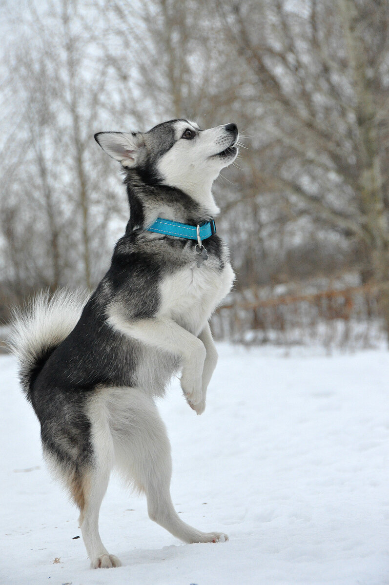Фото для конкурса