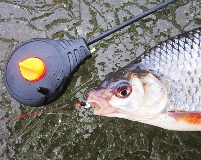 Мал, да удал. Эта пословица как нельзя лучше подходит. Фото: catcher.fish