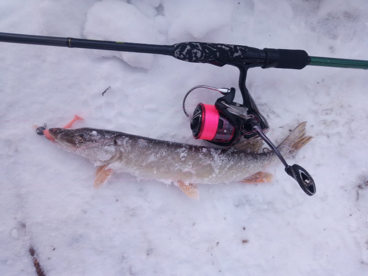 Цвет шнура в начале первой рыбалки.