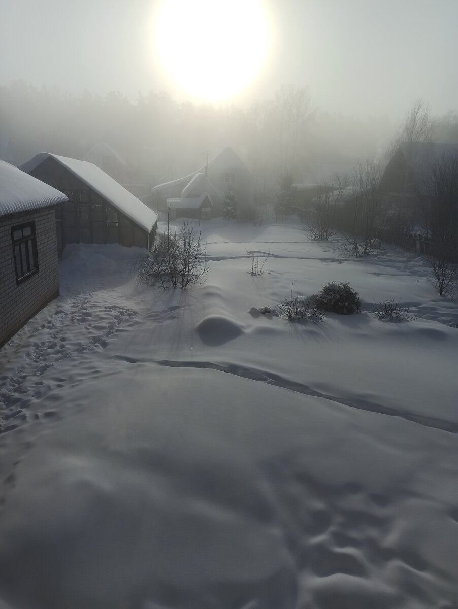 вид из моего окна