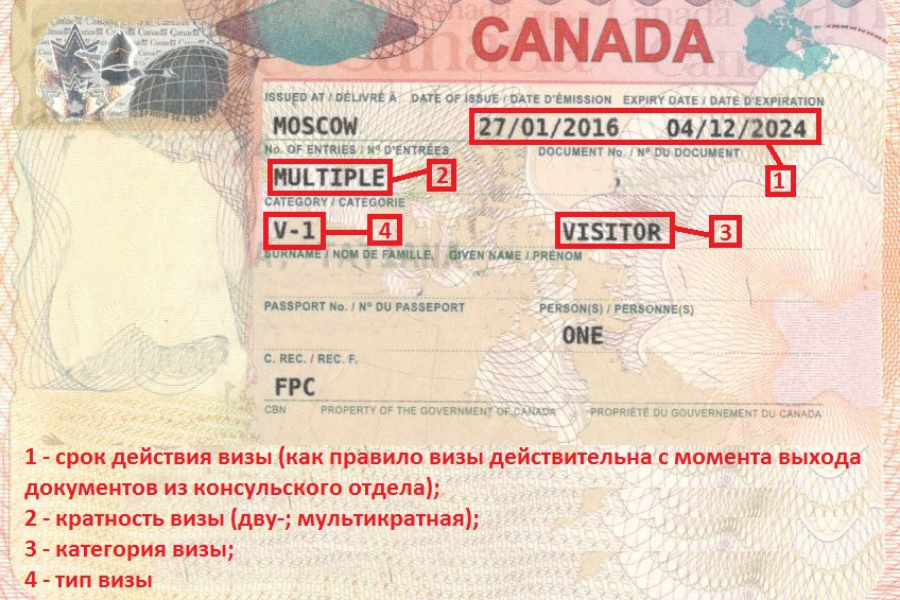 Где visa. Как выглядит канадская виза. Канадская виза для россиян. Виза в Канаду. Туристическая виза в Канаду.