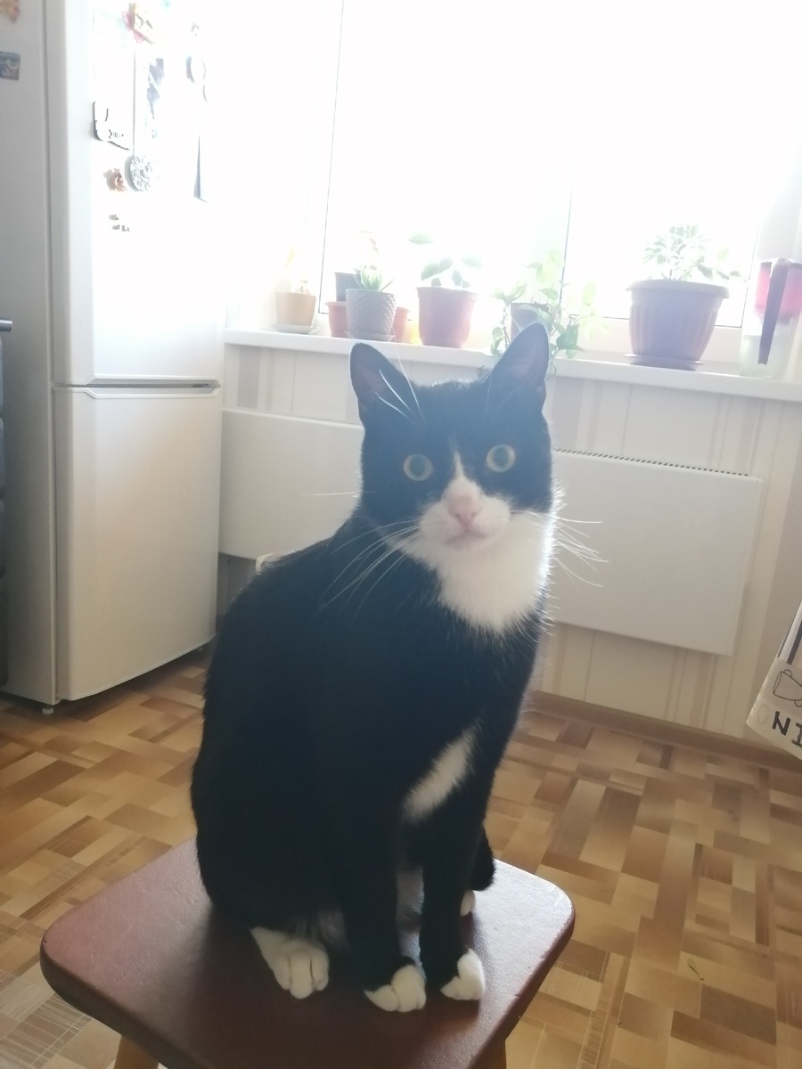 И снова ваш покорный красавец