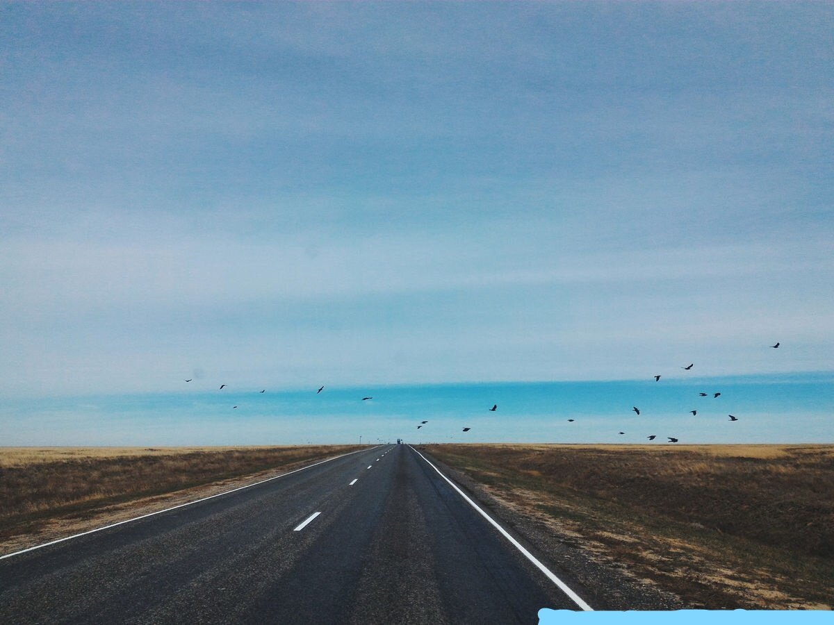 Дорога на юг через Калмыкию.