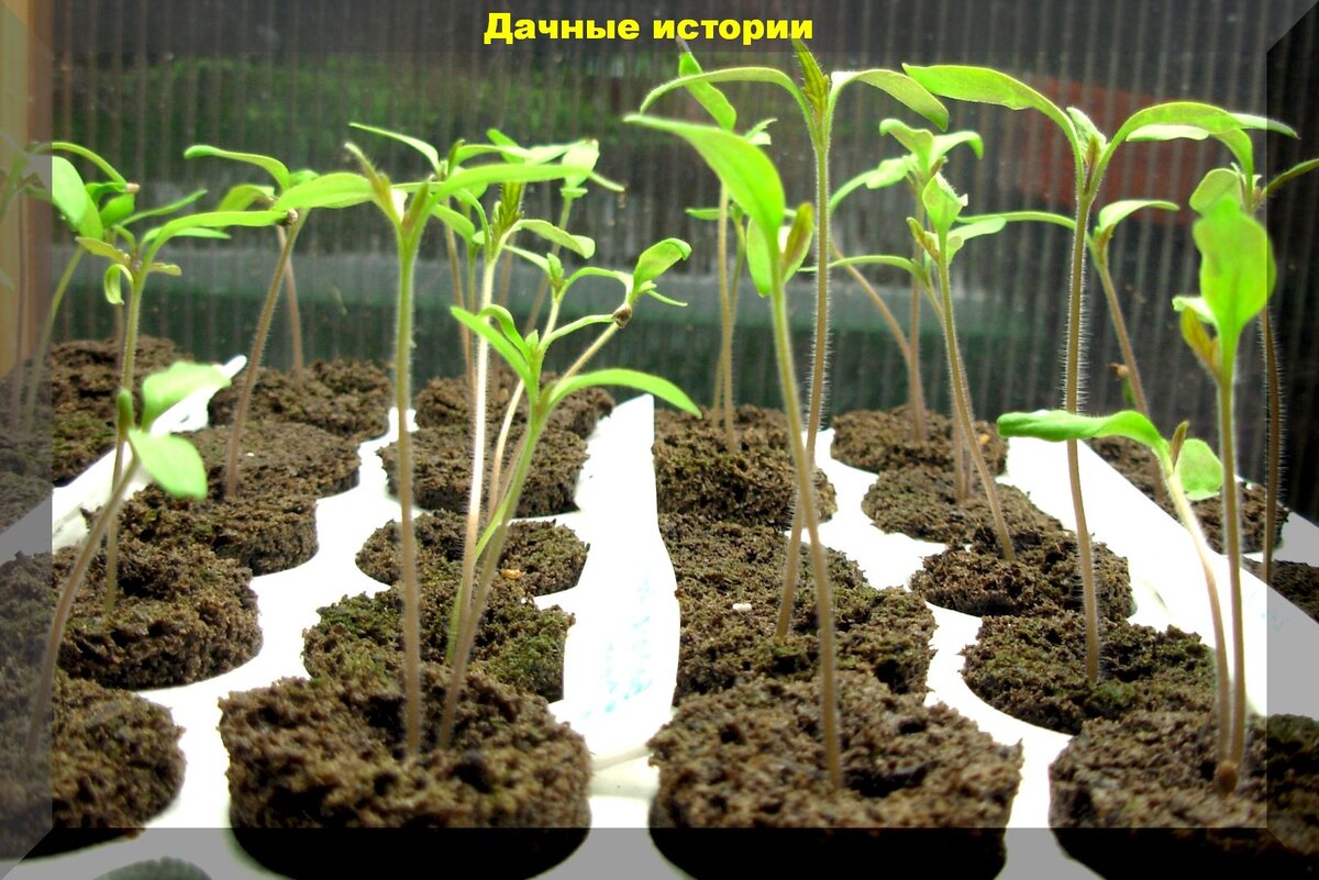 https://vk.com/photo-159774511_457245782