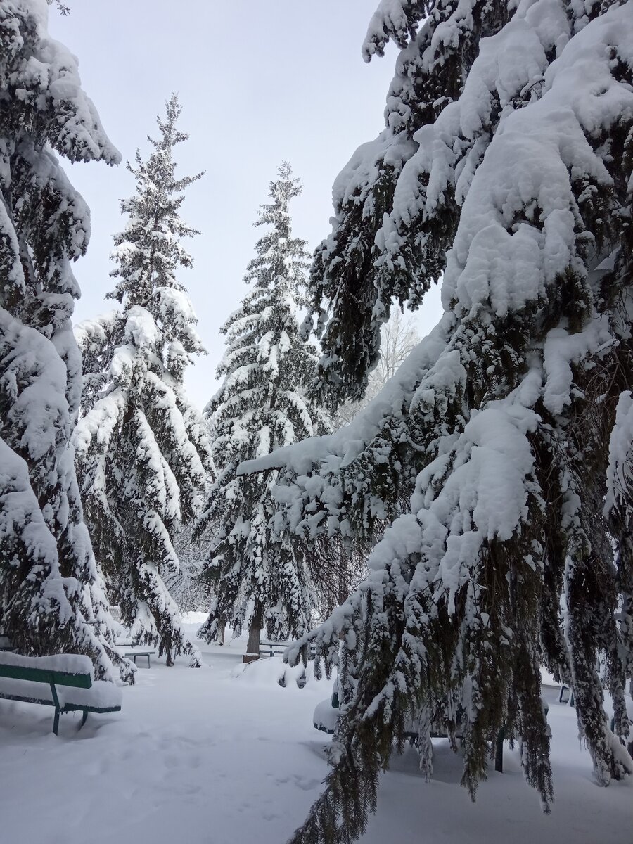 Прогноз на день.