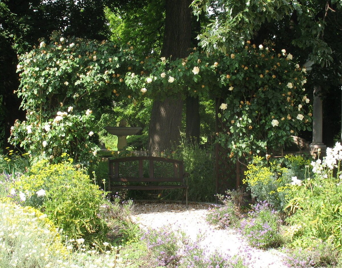 Бафф Бьюти в садах Аквинкума, Римского Города в Будапеште. Фото автора.