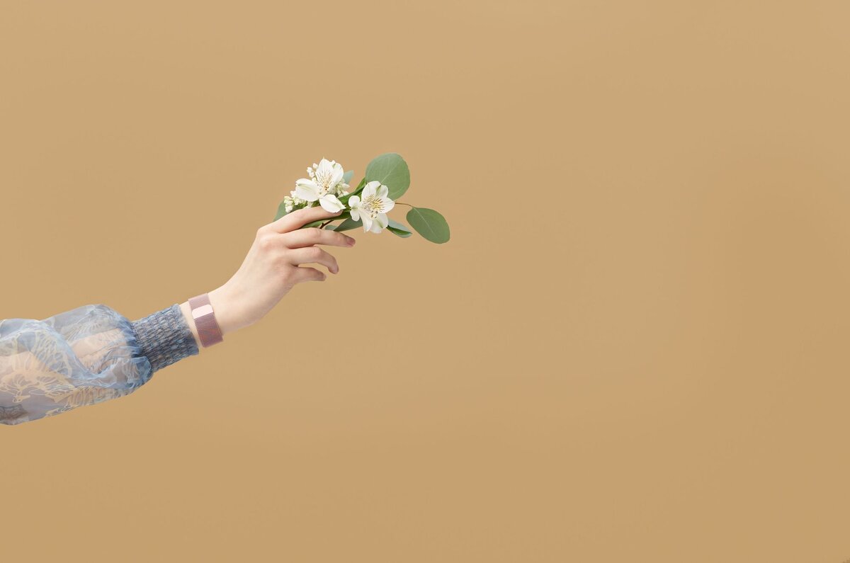  Изображение: re:Store