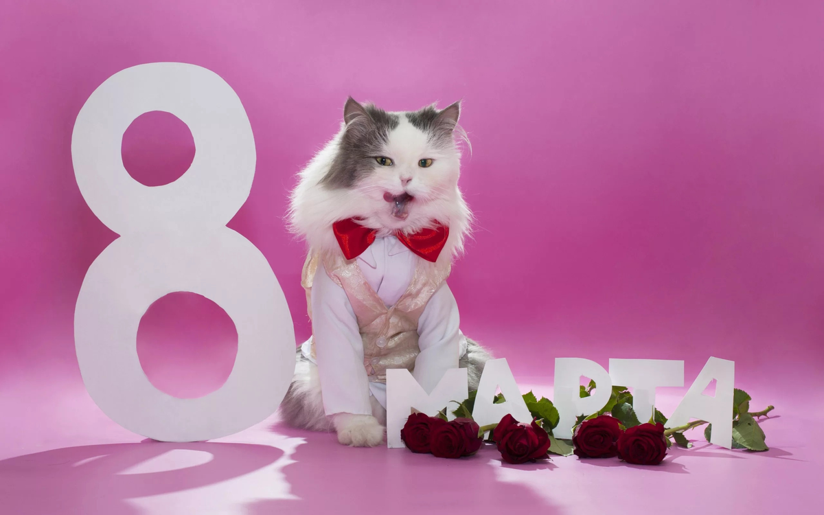 С праздником,милые дамы.