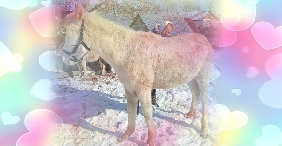 Лошадка и мечта о ней в розовых грезах. Монтаж автора
