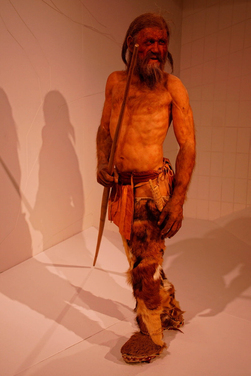 Самые первые коллекторы на планете, возможно, выглядели приблизительно вот так