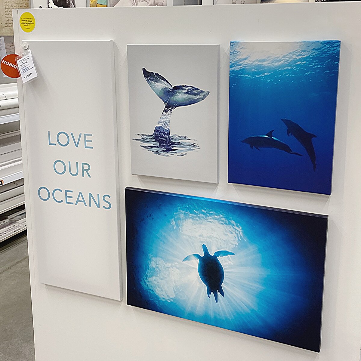 Набор картин из 4 шт. 1999 руб.