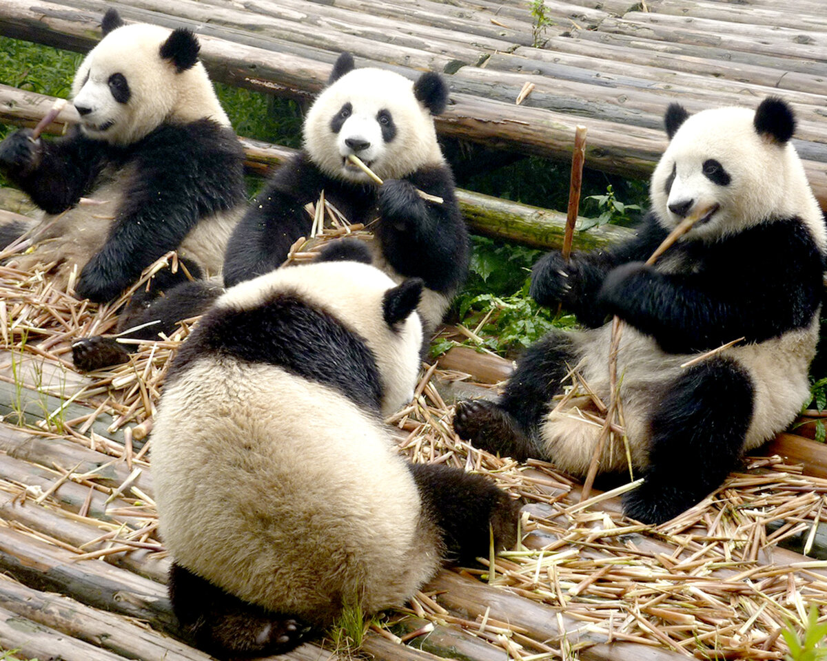 Источник  фото