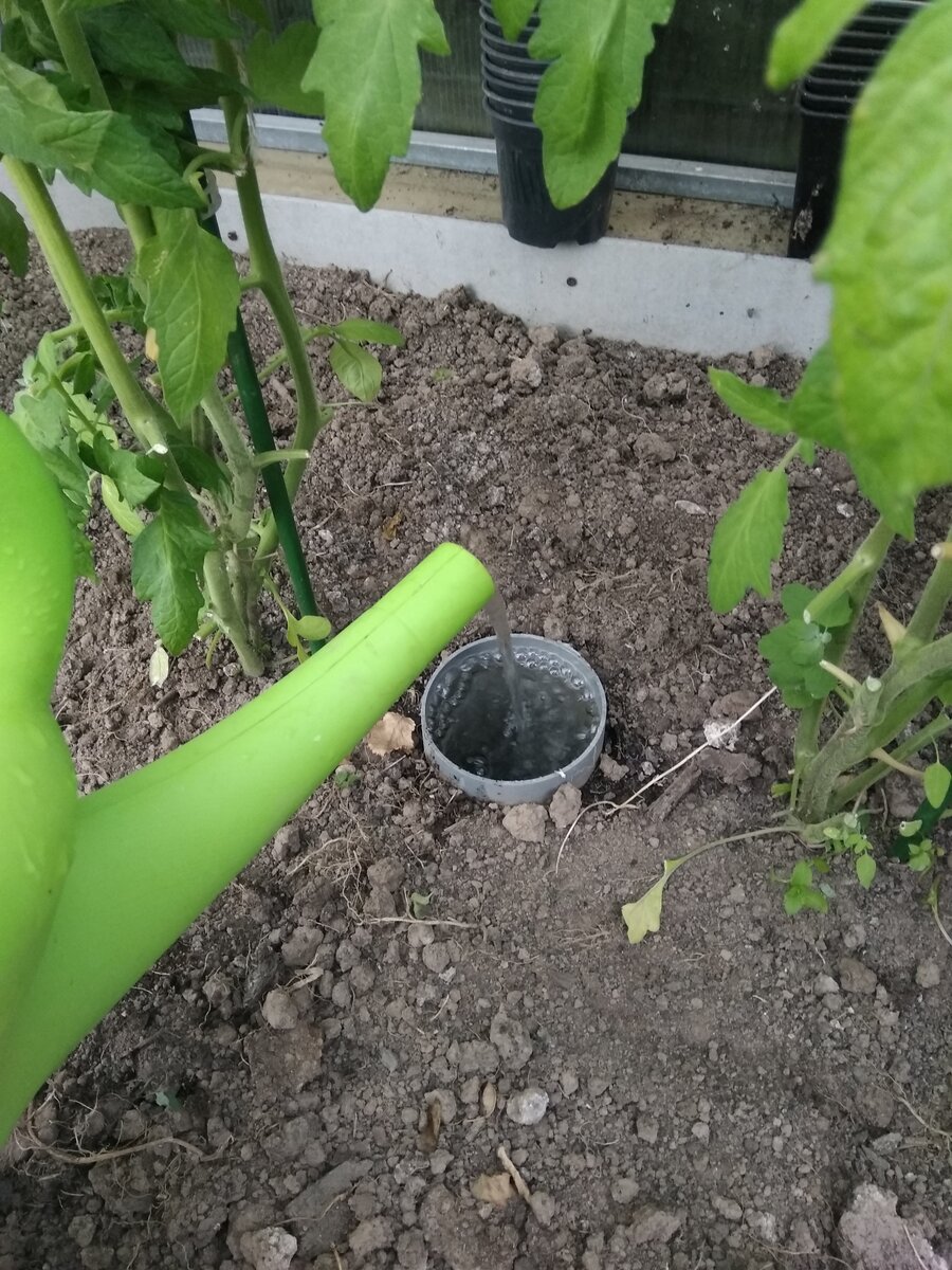 Фотография из личного архива