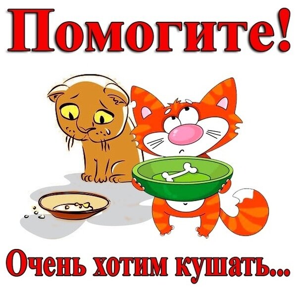 Сумма долга 